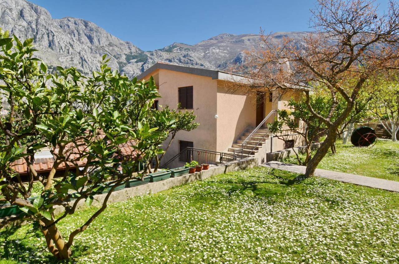 Apartments Andrija Kotor Bagian luar foto