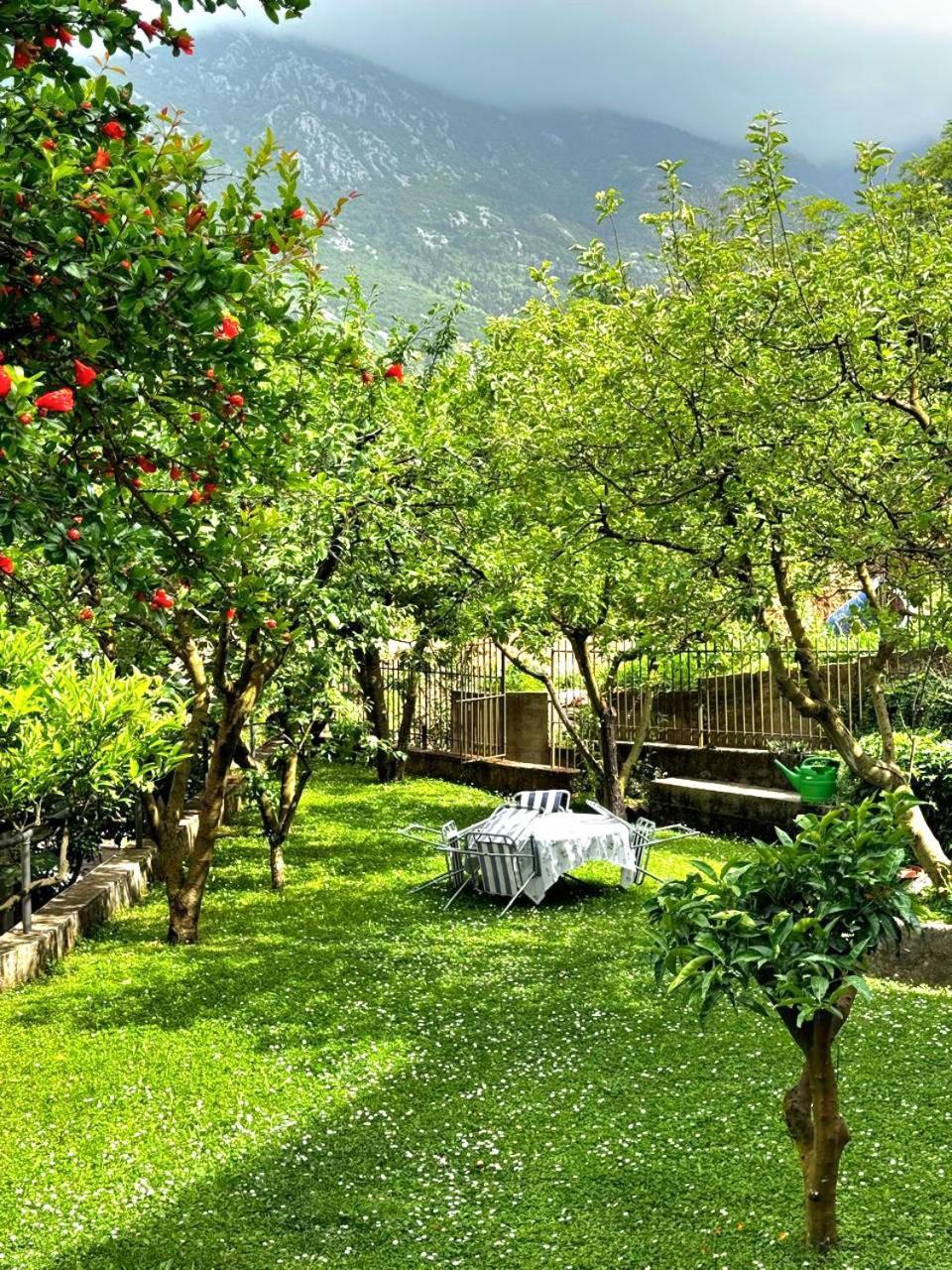Apartments Andrija Kotor Bagian luar foto